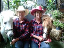 Pony Parties