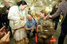 Wombat