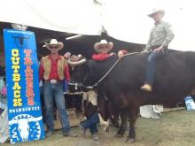 Monty the Bullock