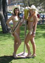 Meter Maids