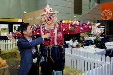 Scarecrow installation