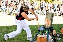 Wood Choppers