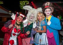 Christmas in Wonderland panto