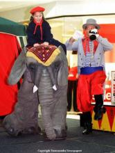 Bubbles the Elephant
