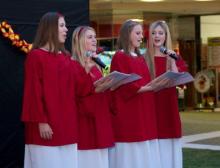 Carol Group