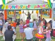 Pineapple Palace Workshops