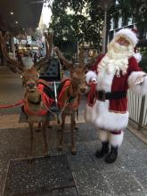 Santa with sleigh & reindeers