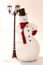 The Snowman