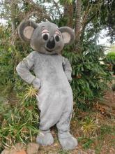 Marsupial Madness - Koala