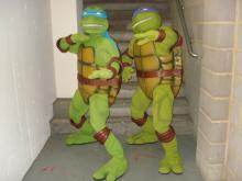Mutant Ninja Turtles