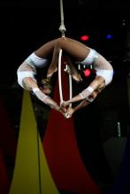 Aerial - Duo Lyra