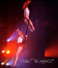 Aerial - Duo Bungee