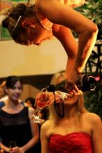 Champers Parlour - Aerial