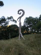 Driftwood Curl