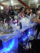 Ice Sculpture - Ice Bar