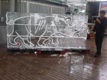 Ice Sculpture - Rhino wall