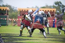 Medieval Knights