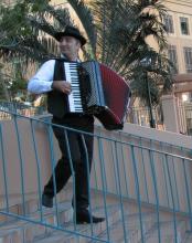 Italian Accordion Player