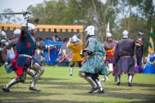 Medieval Knights