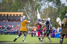 Medieval Knights