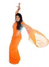 Roushini - Bollywood Fun
