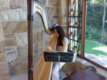 Harpist in Red