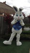 Easter Bunny & Minder