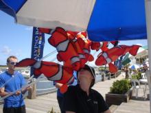 Fish Sicks