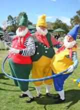 Garden Gnomes - Gladstone