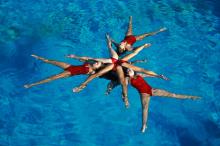 Syncronised Swimmers
