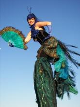 Stilt - Peacock Lady