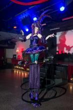 Stilts - Velvet Birdcage