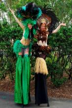 Stilts - rainforest & jungle