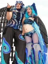 Stilts - Stargazers