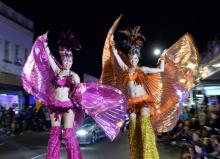 stilt -  birds of paradise