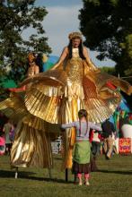 Stilt - Gold Winged