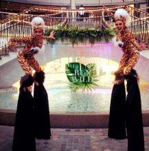 Tiger Cirque Stilts