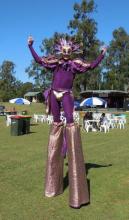 Stilt - Jester