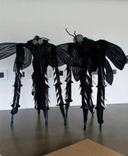  stilt - flies