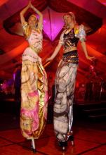 Stilts - Genies