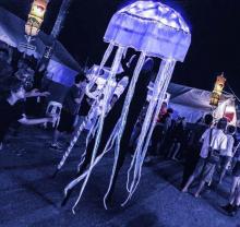 stilt- jellyfish