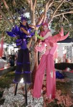 stilts - lilly ladies