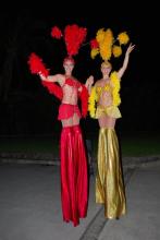 Stilts - Showgirls