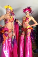 Stilts - Cirque