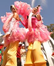 Stilts - flamingo