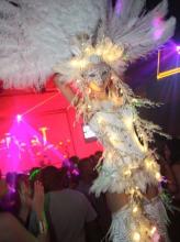 Stilt -  white feathered illuminated