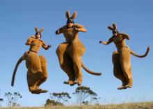 Roos Stilts