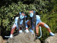 Avatar Ground roving