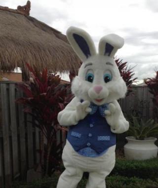 Easter Bunny & Minder