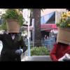 Flowerpot Family at the Surfers Paradise 2011